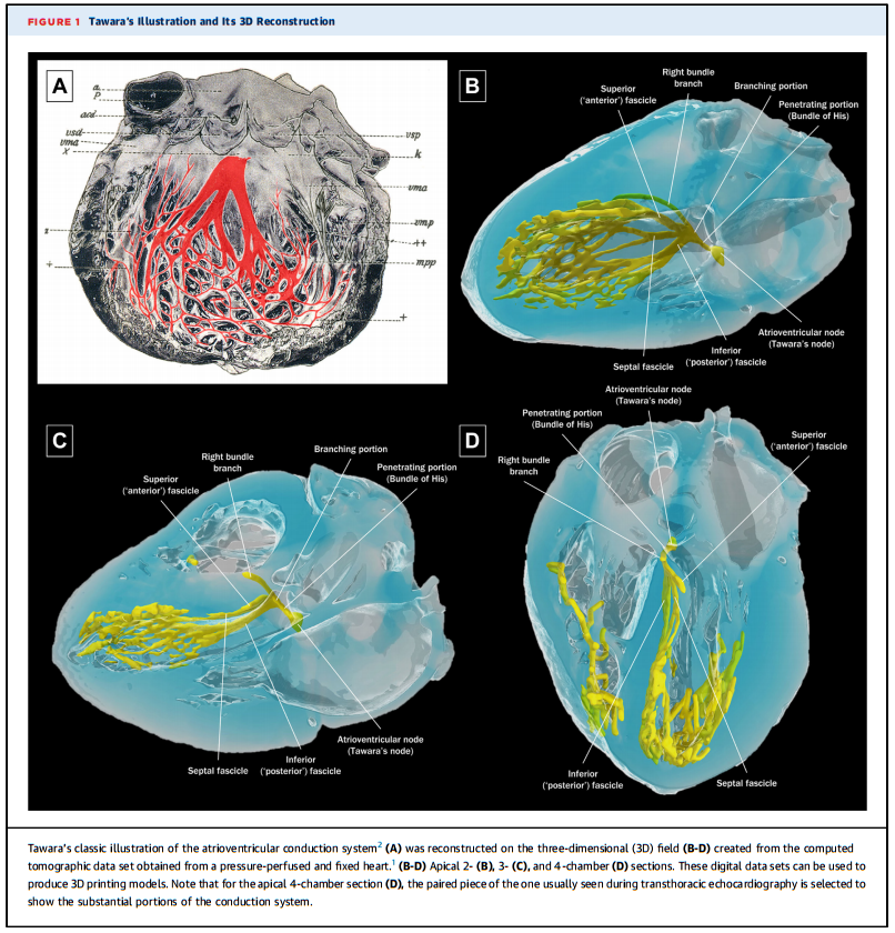 1709802251117478.png 图片1.png